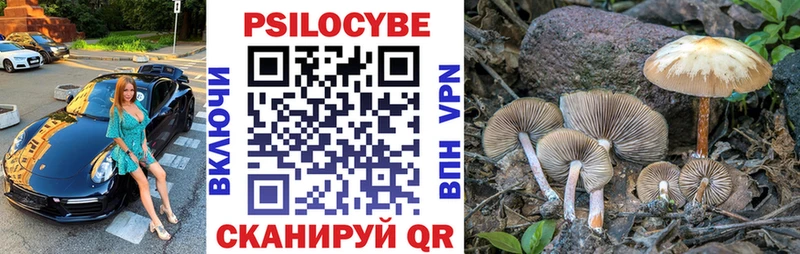 Псилоцибиновые грибы Psilocybine cubensis Черемхово